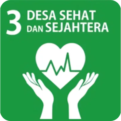 SDG 3
